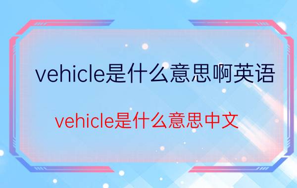 vehicle是什么意思啊英语（vehicle是什么意思中文 vehicle翻译）